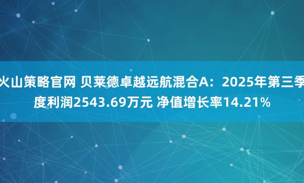 火山策略官网 贝莱德卓越远航混合A：2025年第三季度利润2543.69万元 净值增长率14.21%