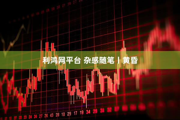 利鸿网平台 杂感随笔丨黄昏