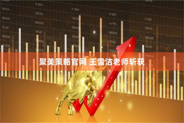 聚美策略官网 王雪洁老师斩获