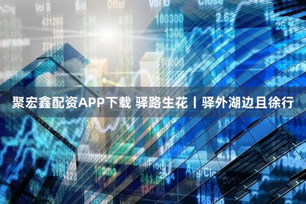聚宏鑫配资APP下载 驿路生花丨驿外湖边且徐行